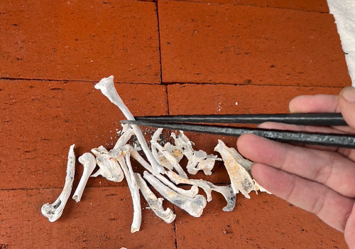 一般社団法人 日本愛玩動物葬祭協会 ペット葬儀 札幌のご火葬プラン メモリアル個別葬